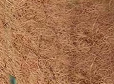 detail-sur-la-fibre-de-coco