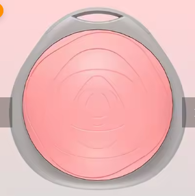 fitness-speedball-rose